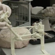 A model of Mars 2020's robotic arm (Image: NASA)